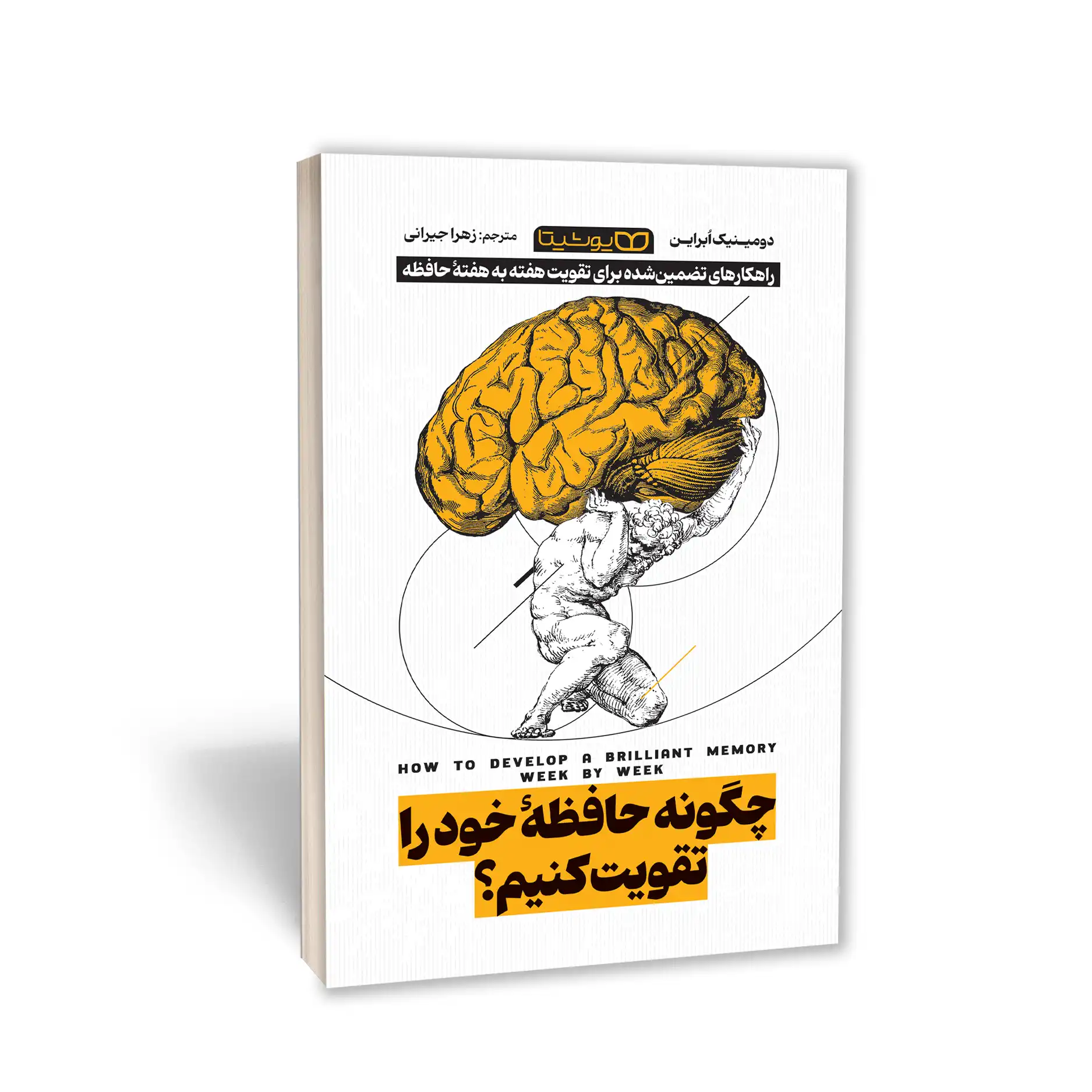 چگونه حافظه خود را تقویت کنیم