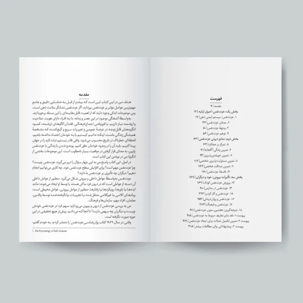 کتاب 6 ستون عزت نفس